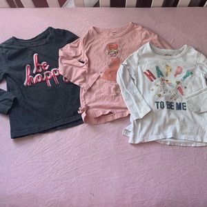 Bundle of 3 Long Sleeve Tees 2T